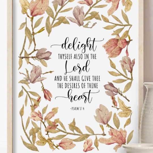 Gallery 01 b base size bigmoods delight