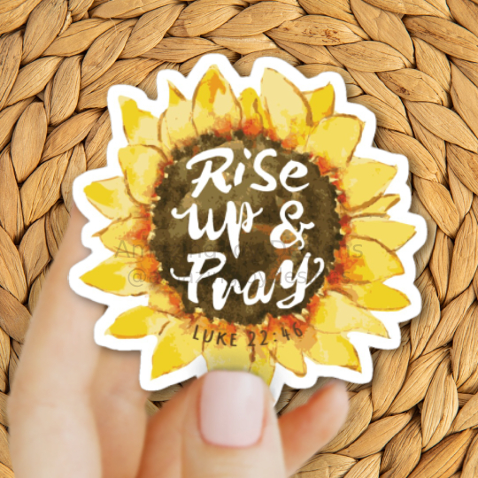 Gallery 20 base size bigmoods larger 20