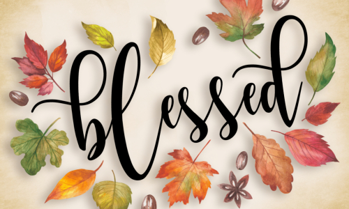 Feeling Blessed: Finding Gratitude in the Ordinary blog posts imgs 009